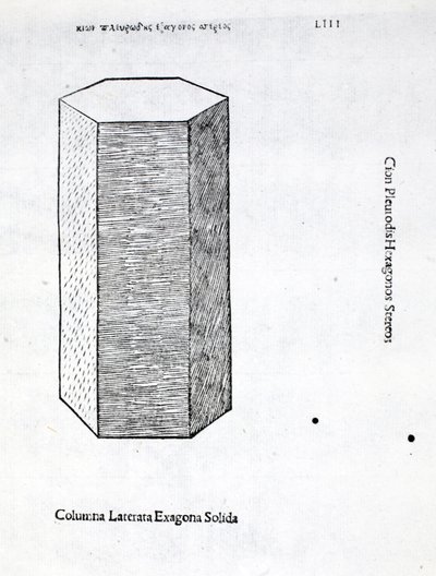 Columna Laterata Exagona Solida, Illustration from 